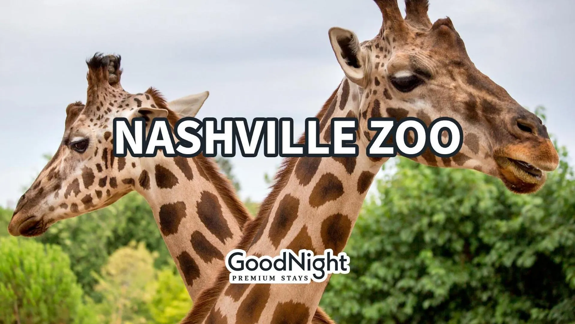 Vakantiehuis Southern Elegance-Private Hot Tub-Walk To 12 S Nashville